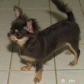  '     