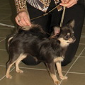  '     